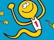 espermatozoide ganador