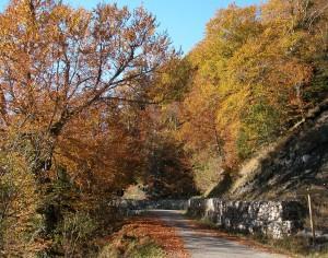 LLEGA EL OTOÑO… (I)