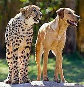 perdedor creatividad popularidad claves entornos creativos creativity_vs_friendship.jpg