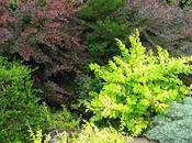 Tres consejos simples para Jardín ornamental hermoso