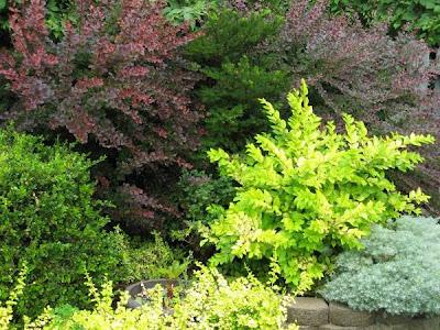 Tres consejos simples para un Jardín ornamental hermoso