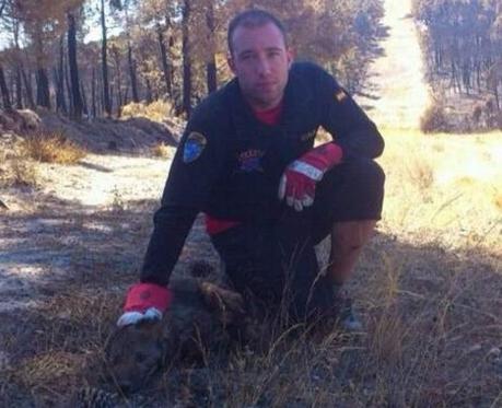 El animal se encontraba débil y se movía con dificultad cuando lo localizaron.