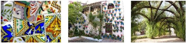 Dragomed Garden: El Concepto