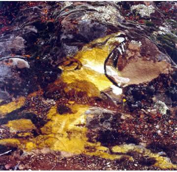 22 de Septiembre - Iraida