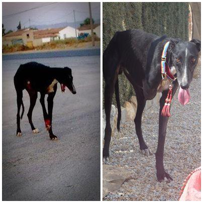 Novedades de Valiente