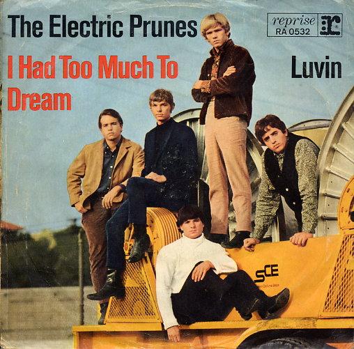 (Clásico telúrico) The Electric Prunes - I had too much to dream (last night) - 1966