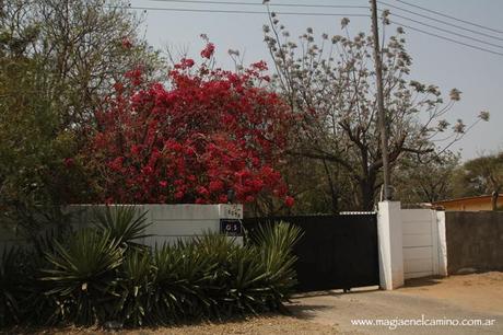 masfloresengaborone Gaborone, la capital de Botswana