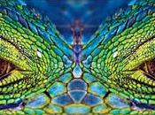 leas nada... para qué!!