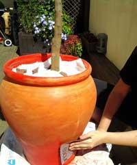 Métodos para envejecer macetas