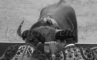 Sueños de Tauromaquia