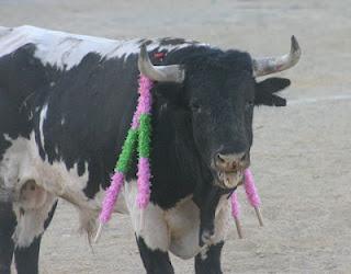 EL SOMBRERO ROMPE EL DICHO Y SE HACE PROFETA EN SU TIERRA