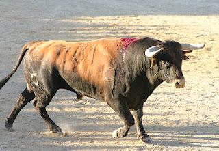 EL SOMBRERO ROMPE EL DICHO Y SE HACE PROFETA EN SU TIERRA