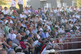 EL SOMBRERO ROMPE EL DICHO Y SE HACE PROFETA EN SU TIERRA