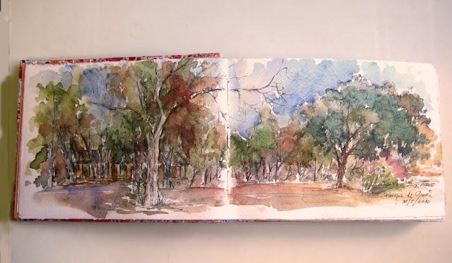 APUNTES  DEL  NATURAL