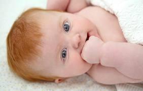 El quinto mes del bebé