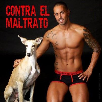 Foto: ¡¡¡¡ EXCELENTE INICIATIVA !!!! Culte al Cos es una conocida empresa de moda íntima masculina y femenina. Sensibilizada y concienciada en la defensa y protección de los animales.  www.cultealcos. com