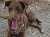Leopoldina... mira carita