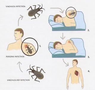 La enfermedad de Chagas y la molécula SLAMF1