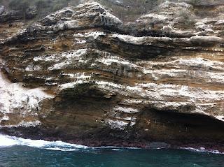 Puerto López (Ecuador) - Avistaje de ballenas en el pueblo pesquero