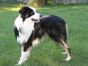 Overtraining: síndrome sobre-adiestramiento