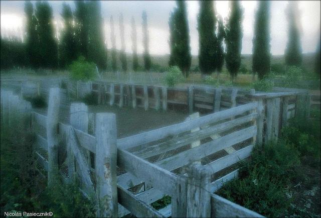 Viajes analógicos: Un día en una estancia patagónica (2002)