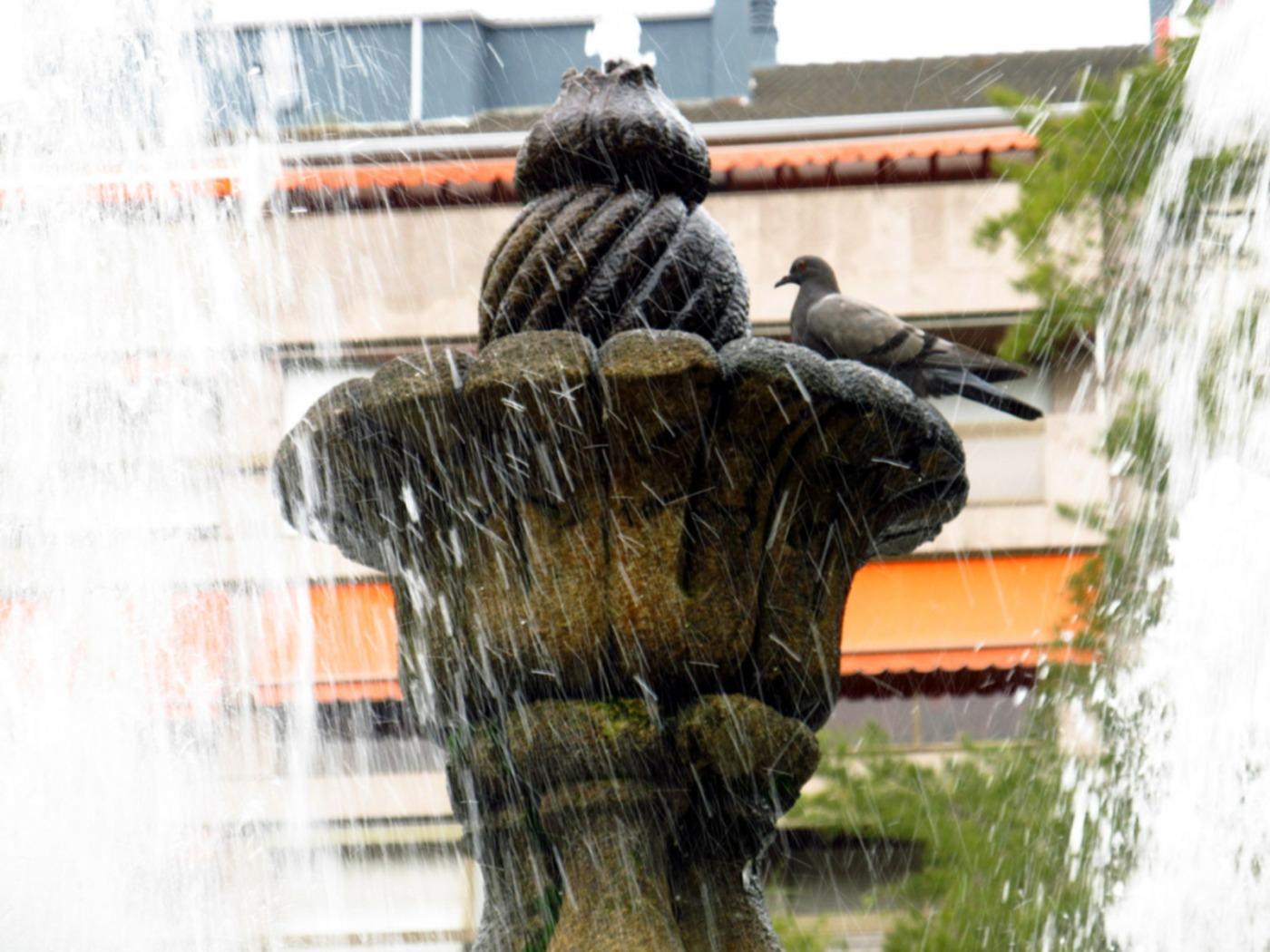 Un mediodía de agosto, en la fuente central del Parque de San Lázaro (Orense, Galicia - España)