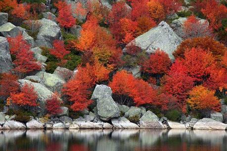 El otoño...