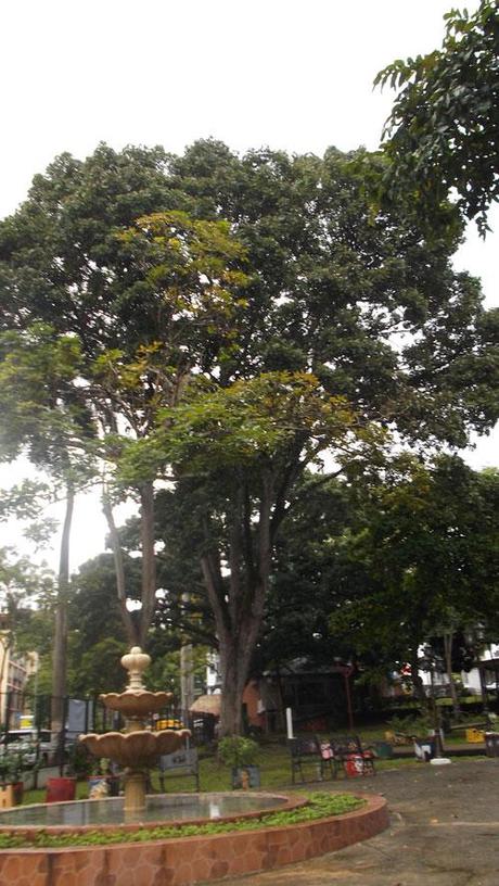 El Consorte pasa su segunda prueba