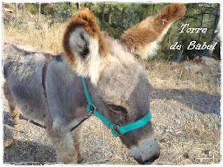 He sobrevivido a las vacaciones