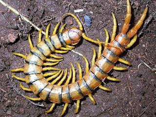 He sobrevivido a las vacaciones