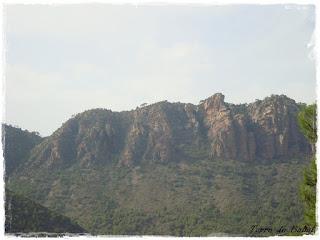 He sobrevivido a las vacaciones