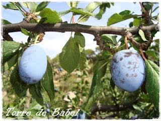 He sobrevivido a las vacaciones