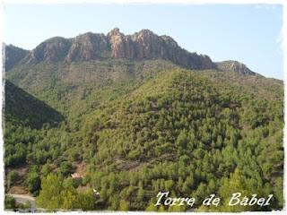 He sobrevivido a las vacaciones