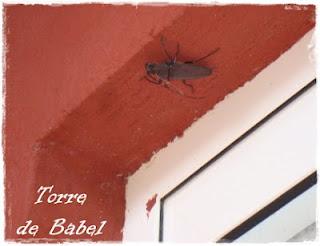 He sobrevivido a las vacaciones