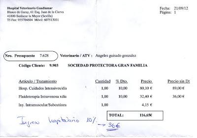 AYUDA ECONÓMICA PARA GOOFY, URGENTE MOQUILLO, HAY QUE PAGAR CADA DÍA.