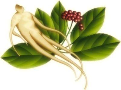 Eleuterococo, el Ginseng que viene del frío