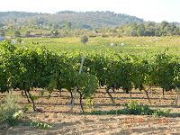 Talleres de El Rondon, Centro de Formación en Turismo Rural - Cebreros - Ávila