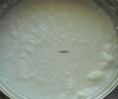 Leche de coco casera