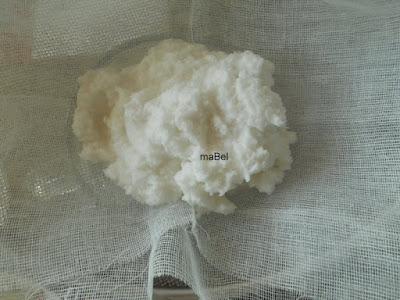 Leche de coco casera