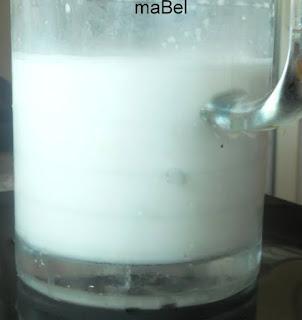 Leche de coco casera