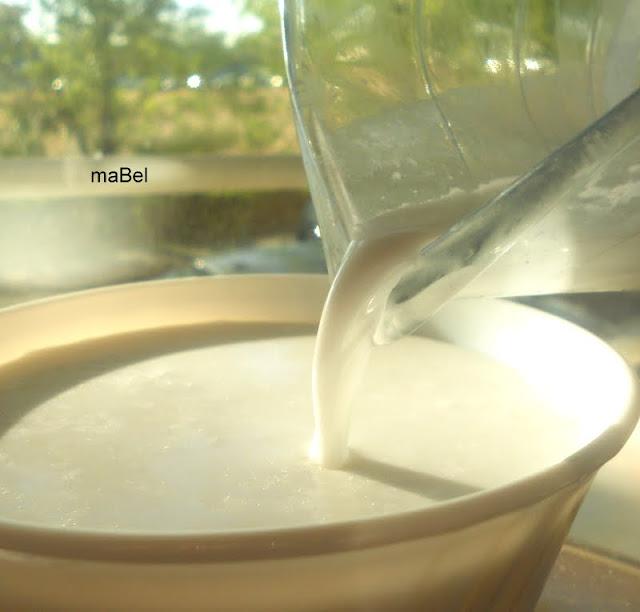 Leche de coco casera