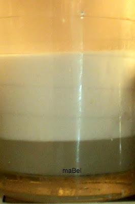 Leche de coco casera