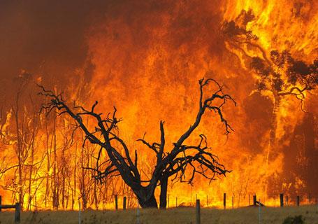 Ángeles de la muerte