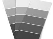 Perdidas: equipo punto gris