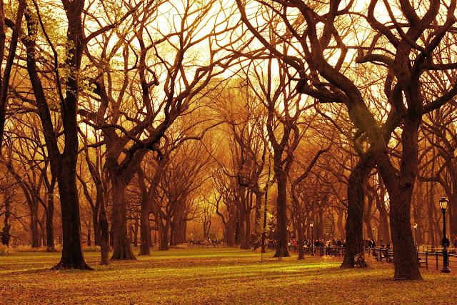 El otoño ya está aquí