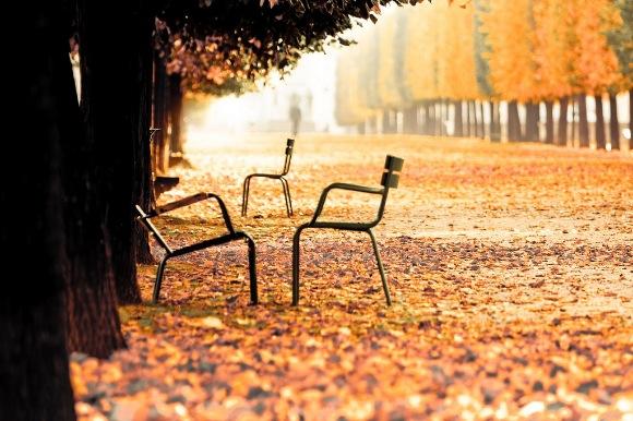 El otoño ya está aquí