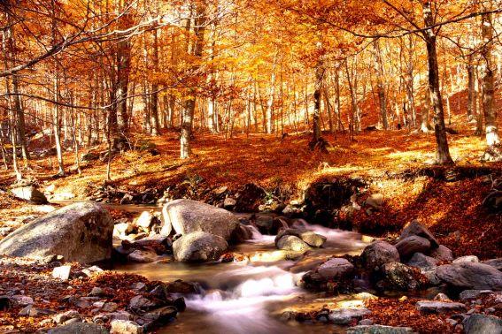 El otoño ya está aquí