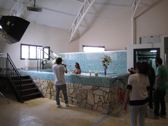 Manifiesto Sensitive de la Comunidad Ausonia