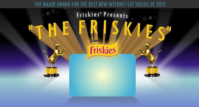 Los gatos ya tienen su Oscar