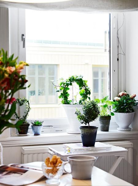 textiles lanas y complementos decoración suelo de madera blanco mate soluciones de almacenaje sillon individual blanco pisos una persona pisos estudio una persona interiorismo pisos pequeños interiorismo estudios y pisos pequeños interiores nórdicos inspiración nórdica estilo sueco decoración estilo nórdico electrodomésticos modernos dobles armarios ropero tv diseño nórdico diseño escandinavo diseño de interiores de estudios diseño de interiores decorar con cuadros decoración pisos pequeños decoración nórdica decoración en blanco decoración de interiores deco blogger cocinas modernas cocinas blancas blog interiorismo nórdico blog interiorismo blog interiores blog estilo nórdico blog decoración nórdica blog deco accesorios para el hogar estilo nórdico 